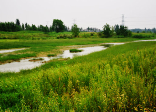 郑州高新区索须河带状公园景观工程第三阶段 第六标段.png